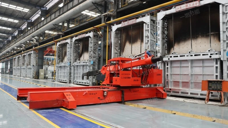 Multi functional box furnace