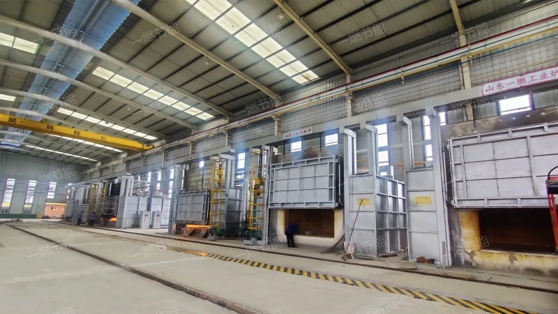 Regenerative natural gas tube heating furnace
