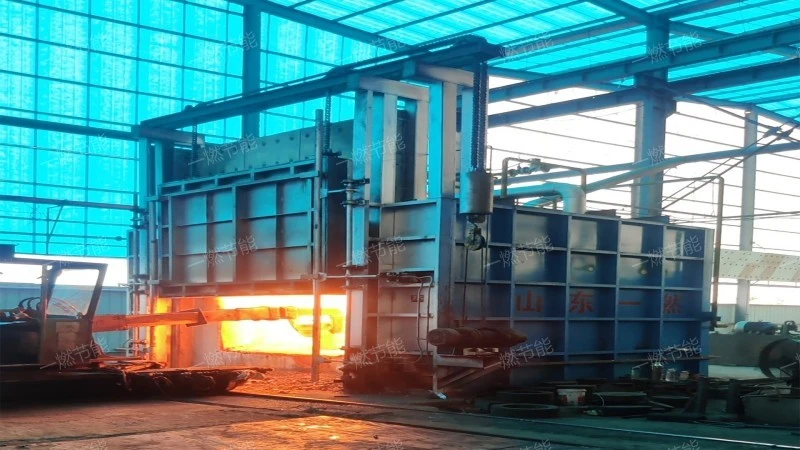 Multi functional box furnace